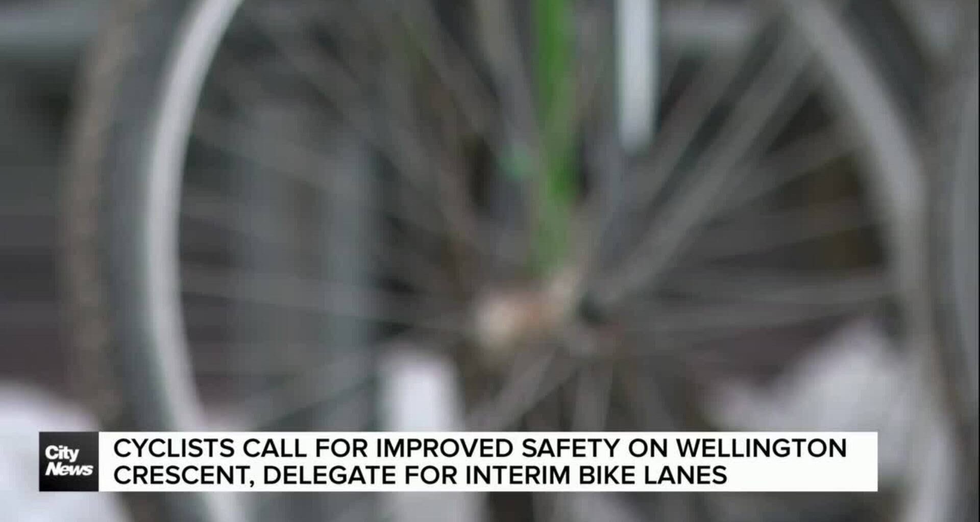 Cyclists delegate for improved safety on Wellington Crescent, call for interim bike lanes ahead of temporary solution