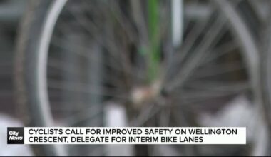 Cyclists delegate for improved safety on Wellington Crescent, call for interim bike lanes ahead of temporary solution