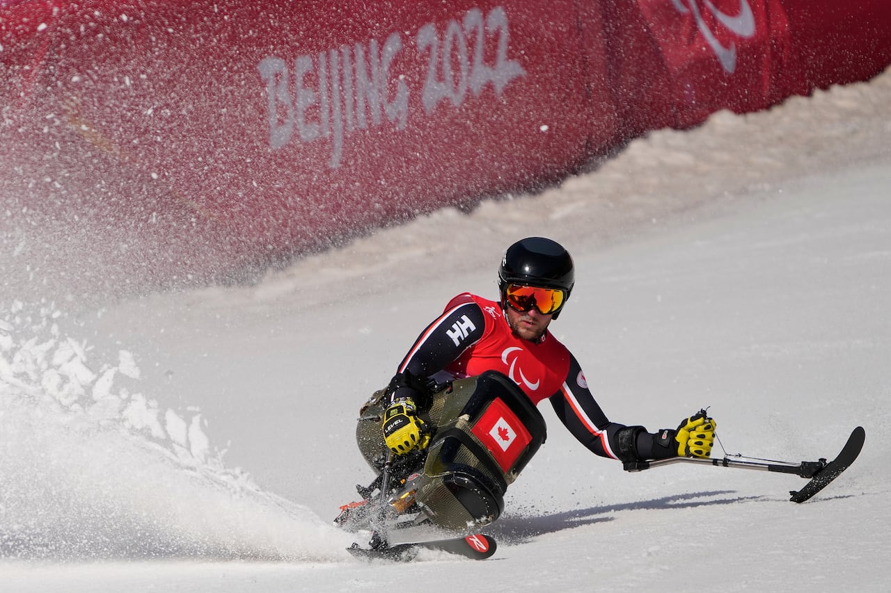 A sitting downhill skier carves down a hill during a race.