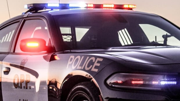 3 charged, over $2.3M in fentanyl seized in OPP-led drug bust in Ontario, Alberta: police