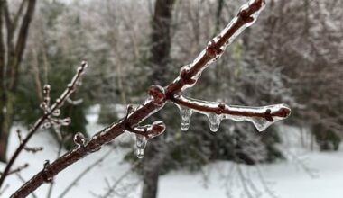 Freezing rain expected in Hamilton, Burlington, Brantford this evening, warns Environment Canada