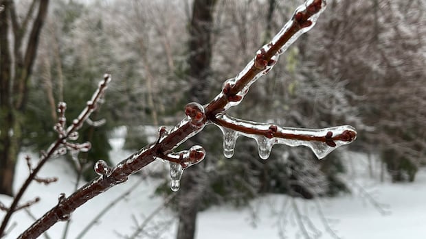 Freezing rain expected in Hamilton, Burlington, Brantford this evening, warns Environment Canada