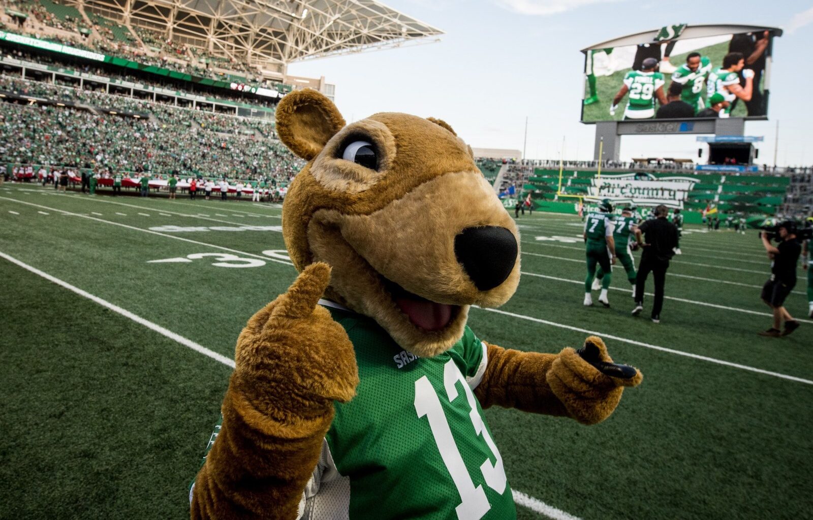 Saskatchewan Roughriders seek someone who is energetic, keen to dress like rodent – Winnipeg Free Press