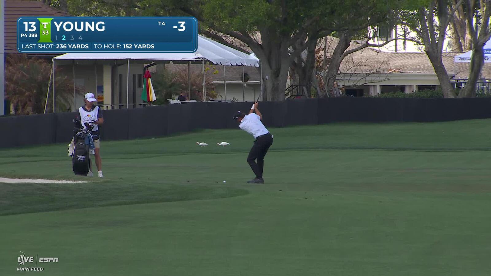 Cameron Young hits 147-yard approach to 17 feet, sets up birdie on No. 13 at Arnold Palmer