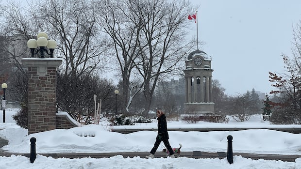 Chilly February means this winter in Waterloo region has been the coldest in over a decade: Report