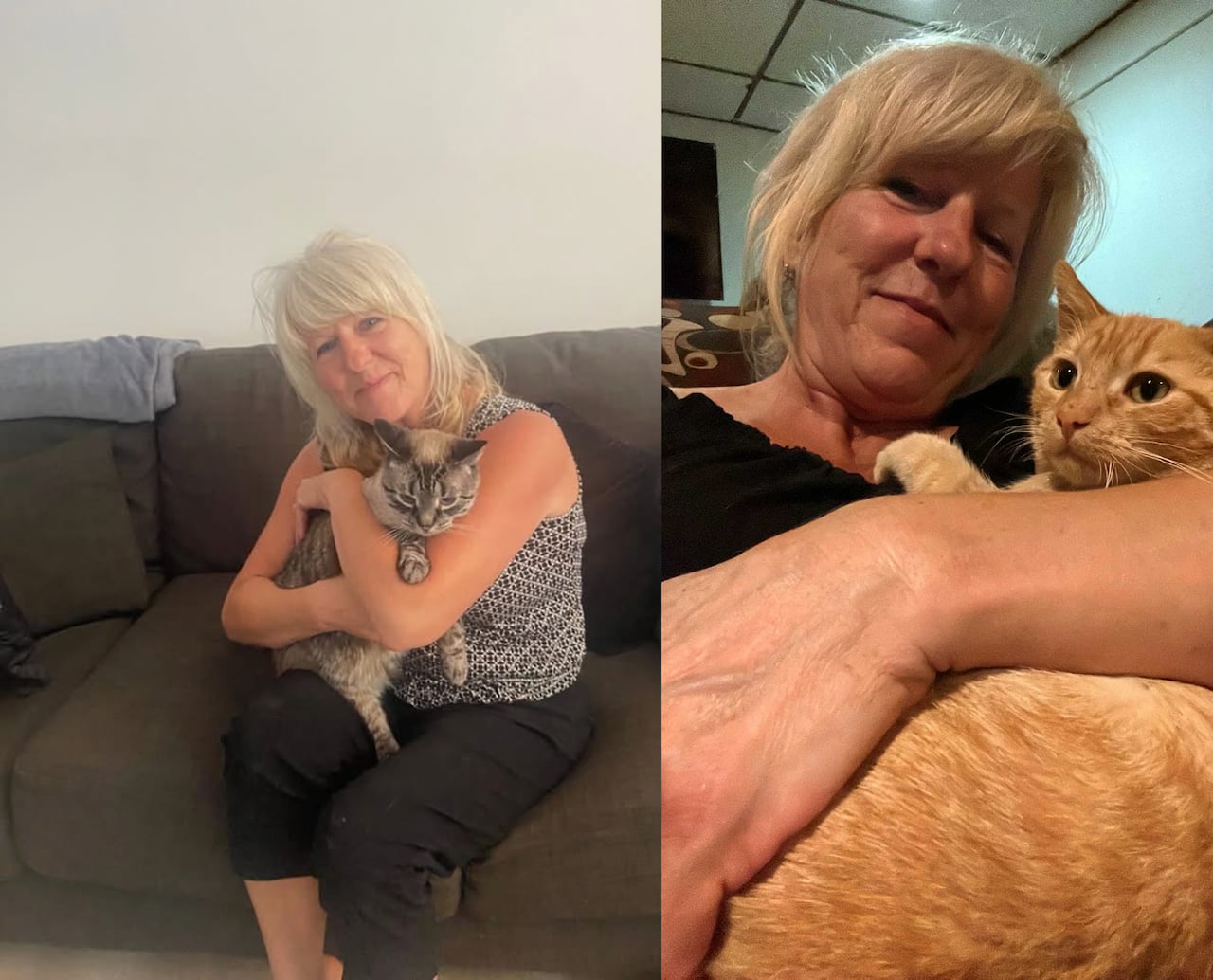 A woman is seen in two pictures holding cats on her arms.