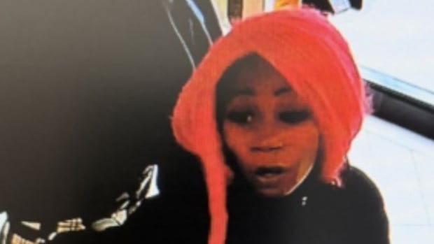 Toronto police seek missing 8-year-old child allegedly abducted by her mother