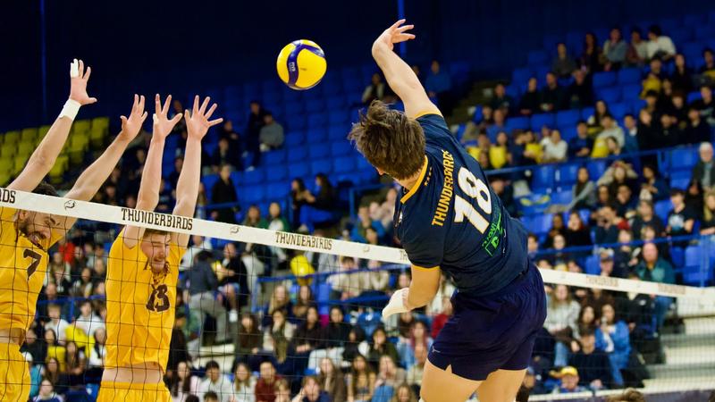 T-Birds topped in Canada West semis by triumphant Bisons