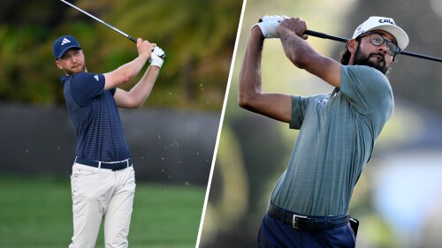 Berger-Bhatia split image