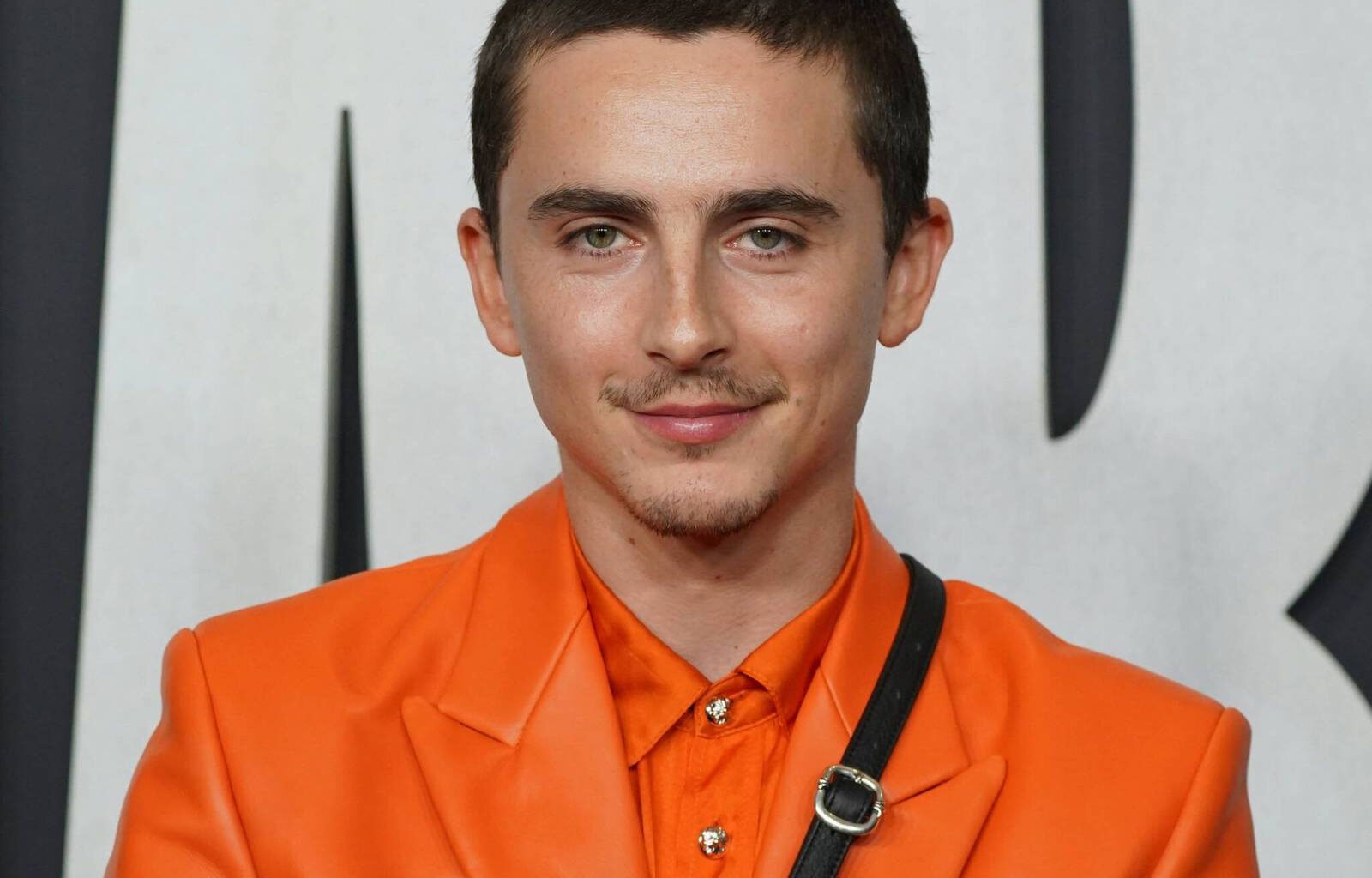 Chalamet’s comments about art asinine – Winnipeg Free Press