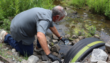 Former Staff Show How Trump Acted to Upend EPA’s Mission and “Make America Sicker” – Mother Jones
