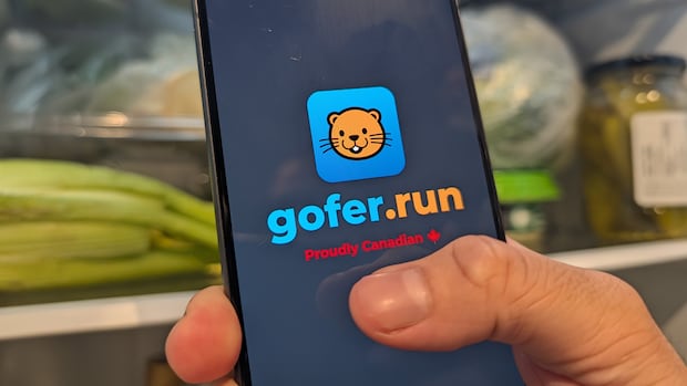 This North Bay-built app compares grocery prices across stores to help Canadians save