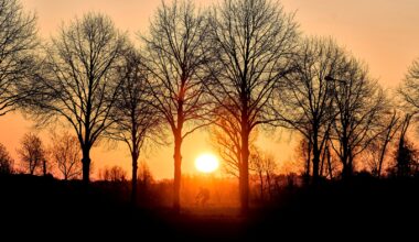 Clock change marks progress for some Canadians, but is a pain for others – Winnipeg Free Press