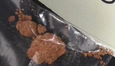 Winnipeg health officials warn about presence of strong animal tranquilizer in drug supply