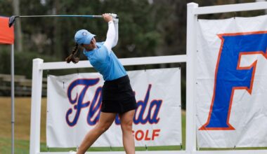 University of Hawaii Logo