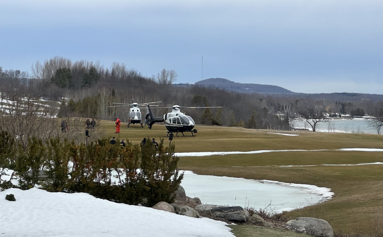 Police helicopters parked on grassy area near shore