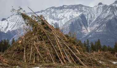Anxiety in some Alberta mountain towns as wildfire season begins