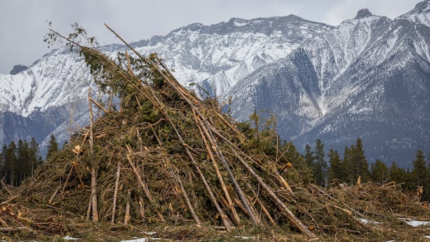 Anxiety in some Alberta mountain towns as wildfire season begins