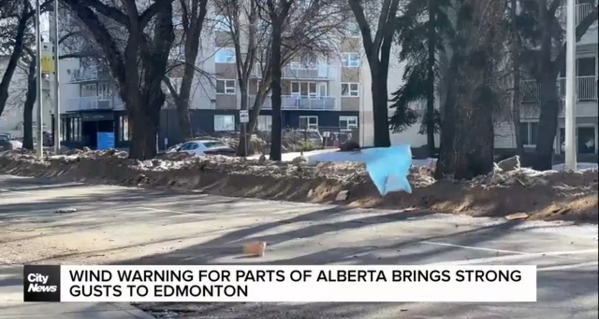Strong winds prompts warnings in Alberta, power outages in Edmonton