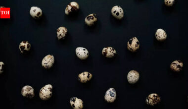 Scientists uncover ‘space glass’ in Brazil linked to a 6-million-year-old meteorite impact |