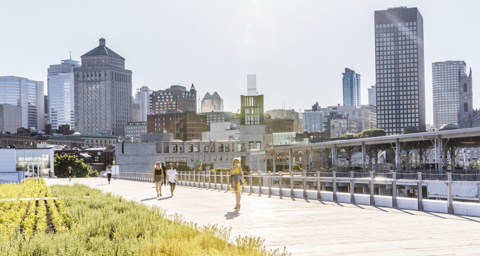 City Could Hit 18°C — Warmest March 9 in Over 20 Years