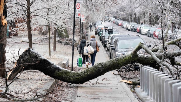 Environment Canada warns of 'potentially critical' freezing rain event for Quebec
