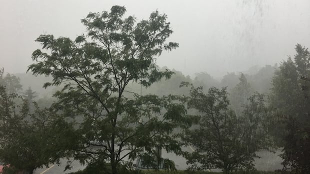 'Significant rainfall' could come to Windsor, southern Ontario this week, Environment Canada cautions