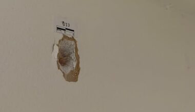 Residents rattled after shots fired at 2 homes, 3 vehicles in Brampton, police seek suspect