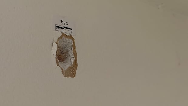 Residents rattled after shots fired at 2 homes, 3 vehicles in Brampton, police seek suspect