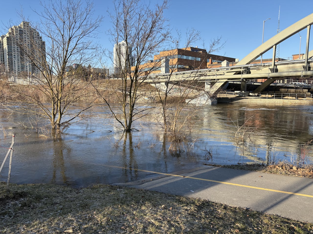 Flooded pathway along the Thames River near Ridout Street North in London with trees partially surrounded by water and a bridge in the background.