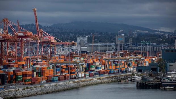 Non-U.S. trade propels Port of Vancouver to record cargo volumes