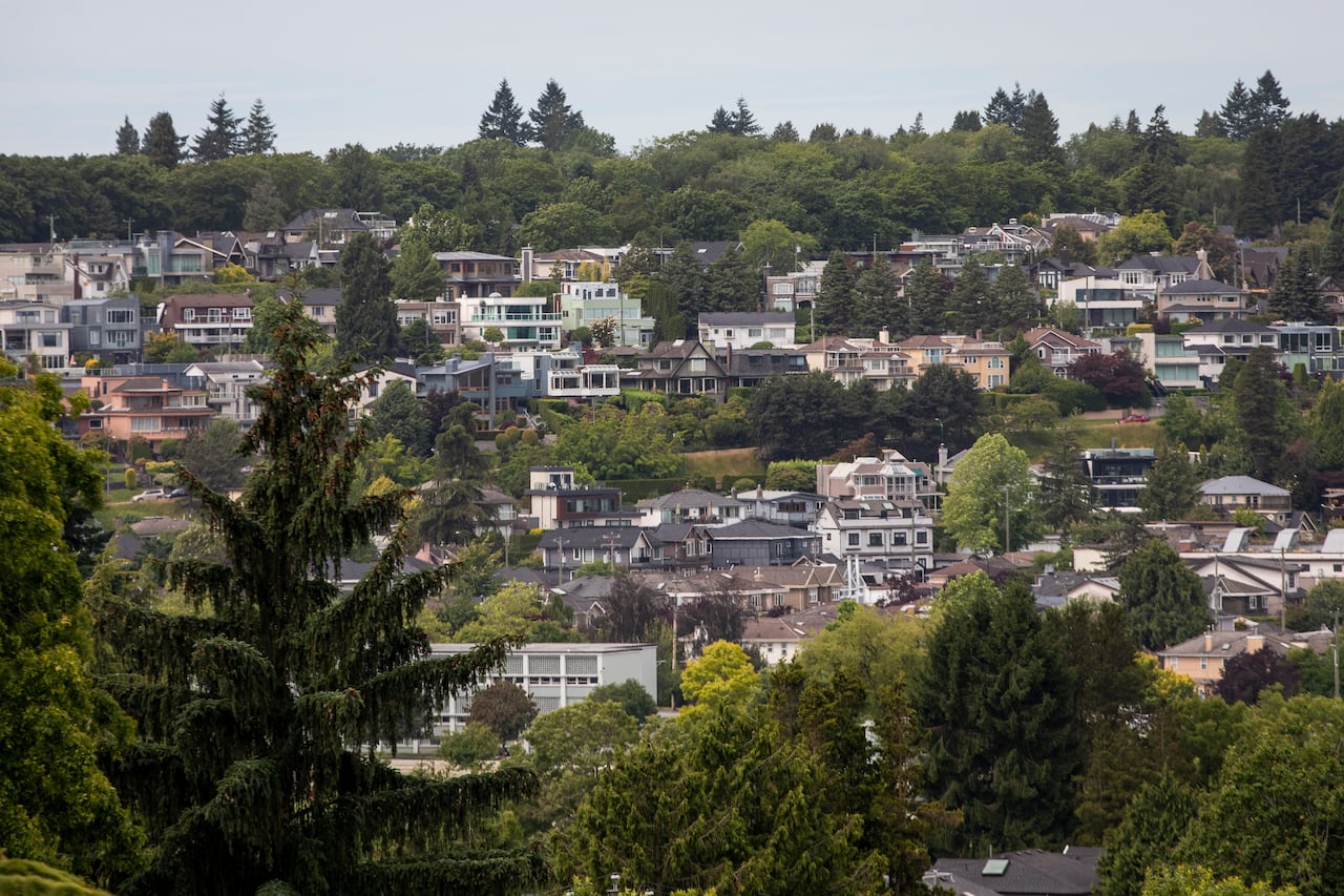 Single family homes in a forested neighbourhood