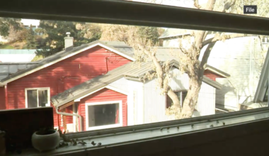 Struggling with space or housing costs? Calgary will pay homeowners up to $35K to build backyard suites