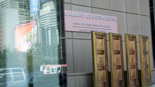 'He is not the same person': Calgary man who killed mother fell deeper into psychosis in days before attack