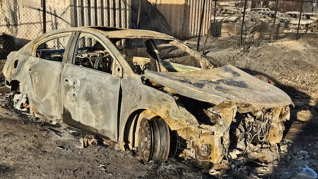 Company sues City of Winnipeg, RM of Springfield over 2025 Gunn Road fire
