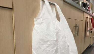 Edmonton ban on disposable items has reduced use of plastic bags and straws: city data