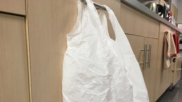 Edmonton ban on disposable items has reduced use of plastic bags and straws: city data