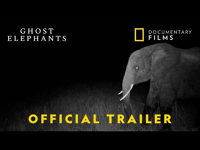 Ghost Elephants