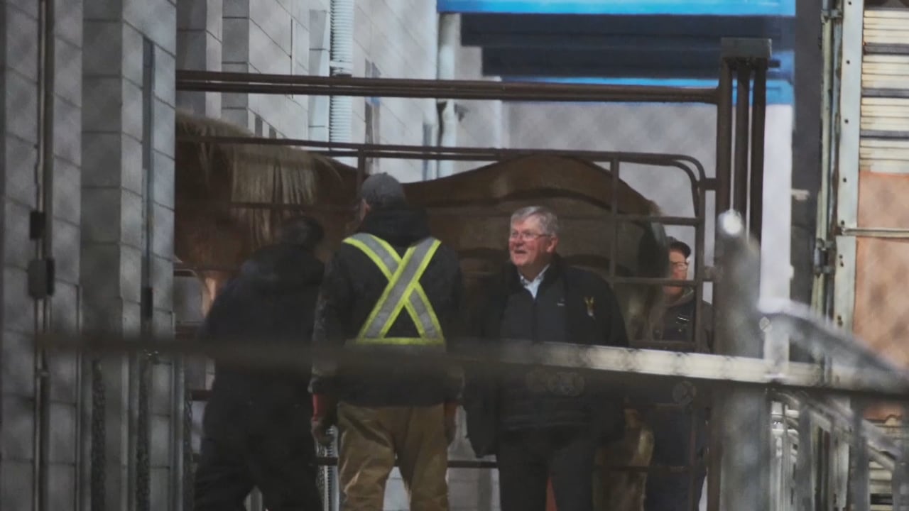 man talking to airport staff with a horse behind him