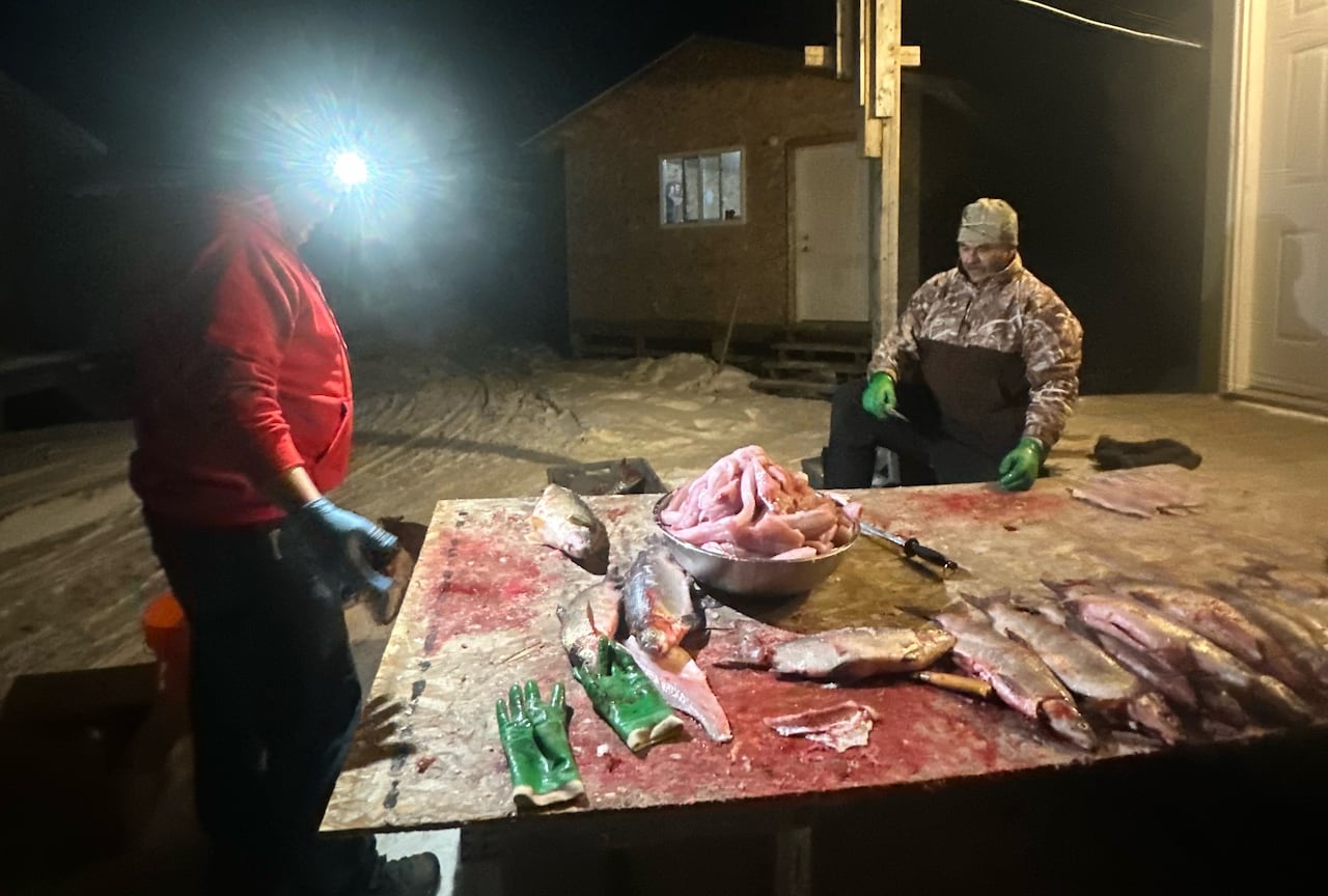 Two men stand beside a table filleting fish.