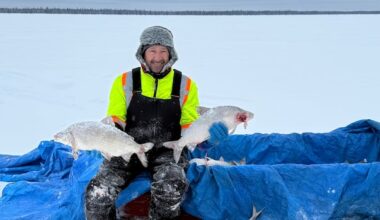 Saskatchewan co-operative bidding on Winnipeg fish processing plant