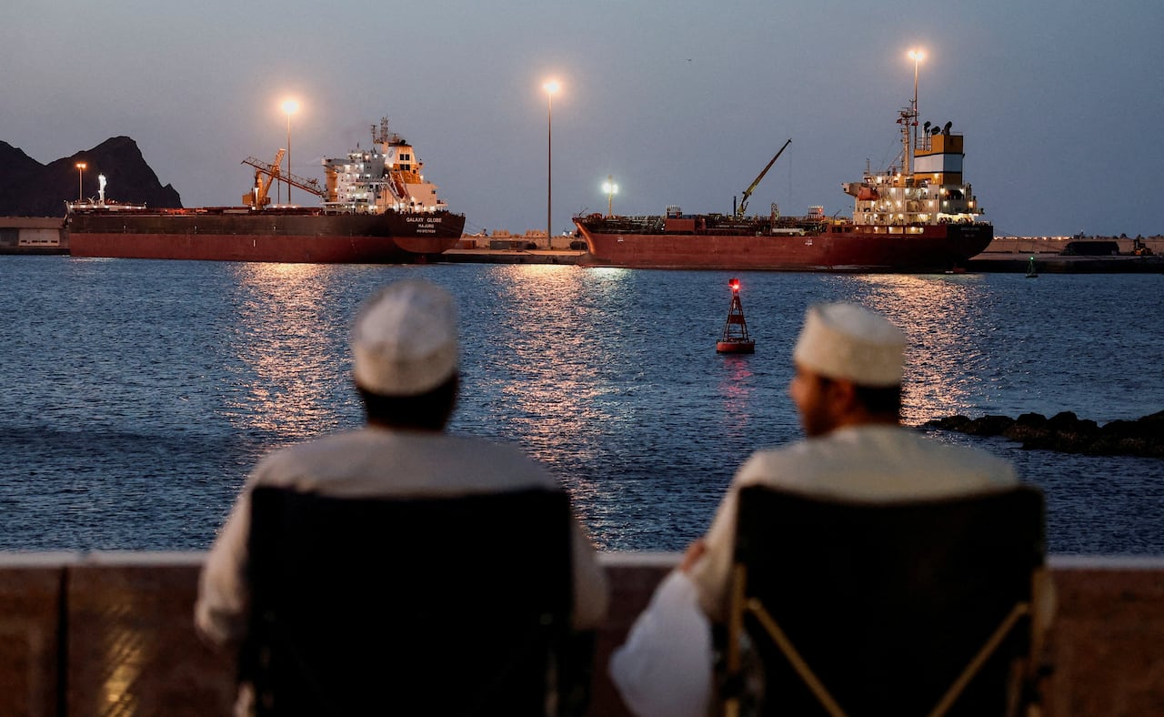 Two men, their backs to the camera, look across the water at two large, anchored shipping vessels