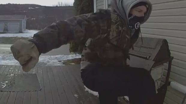 Case of ‘prolific offender’ in N.L. highlights deep divide on the problem with bail in Canada