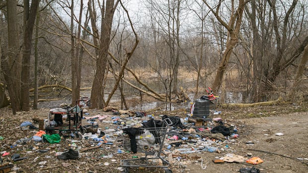 'It's a mess', volunteers say as thaw reveals city park and river garbage