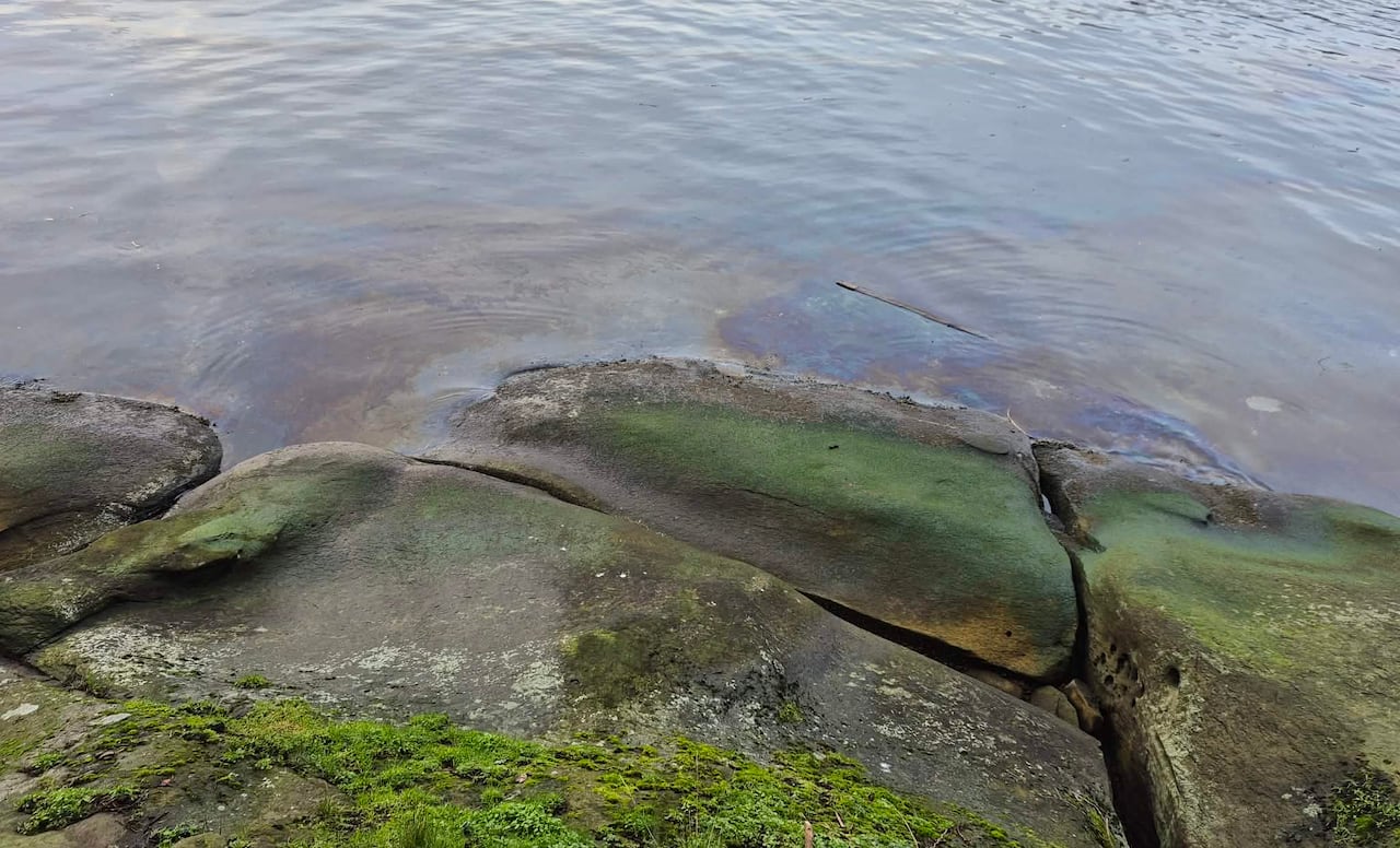 Visibly oily water near shoreside rocks.