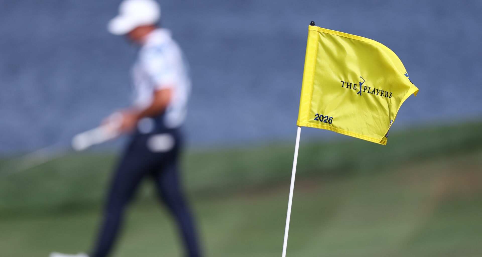 PGA Tour: Seagull and Golf Ball Square Off at The Players 2026