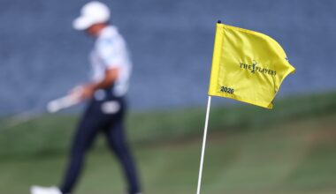 PGA Tour: Seagull and Golf Ball Square Off at The Players 2026