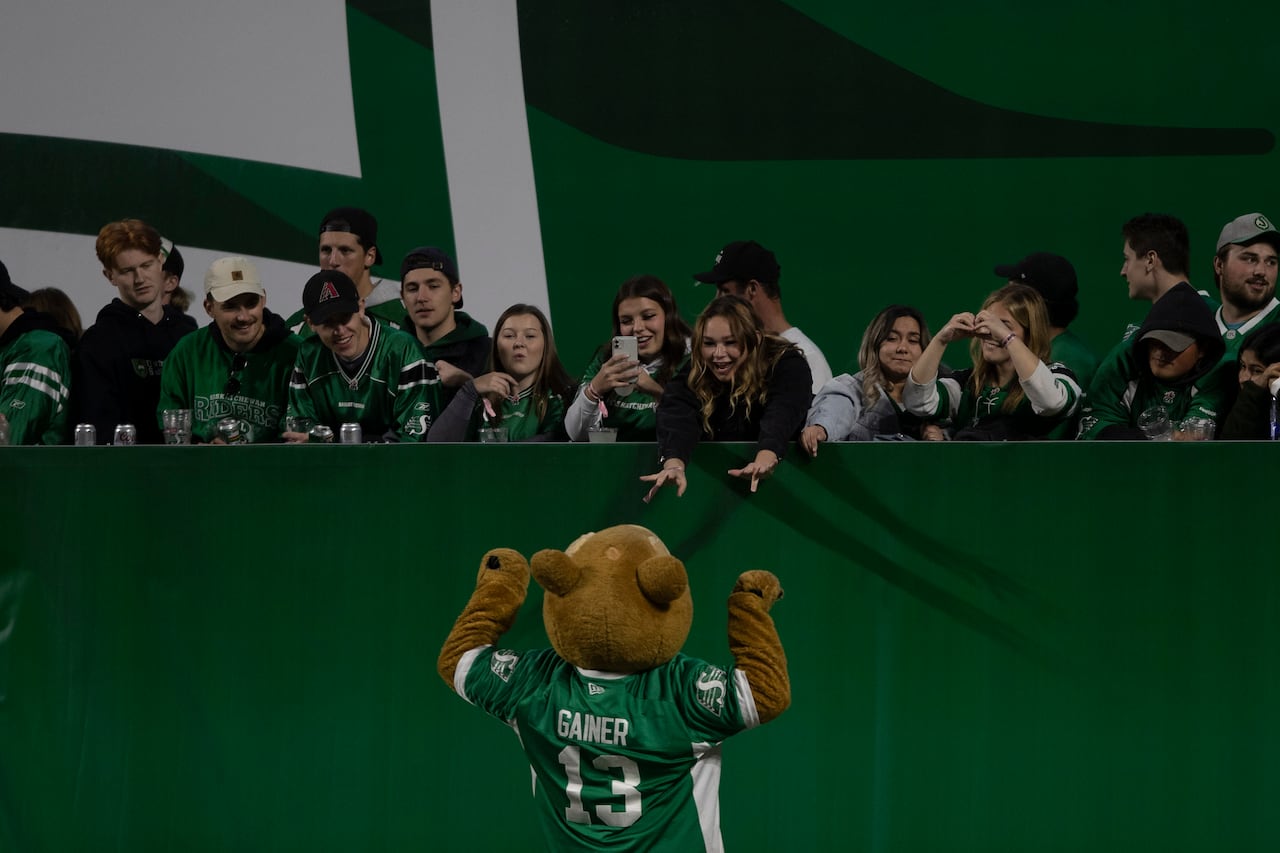 Gopher mascot interacting with fans on the sidelines of a football field