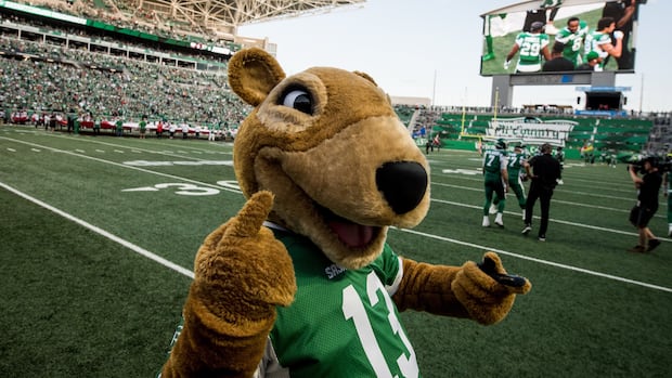 Ever dreamt of being a dancing prairie gopher? Saskatchewan Roughriders has the job for you