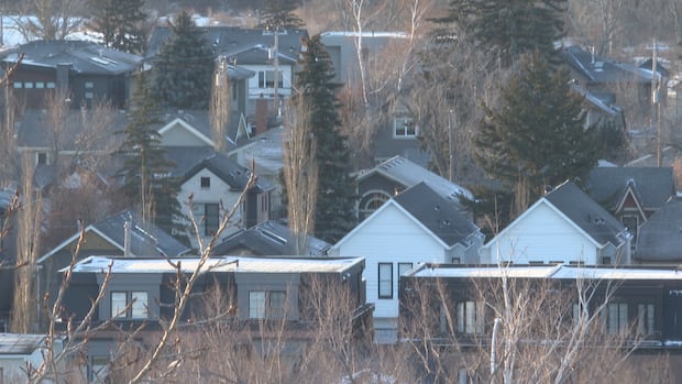 Spike in development applications as Calgary's blanket rezoning reversal looms large